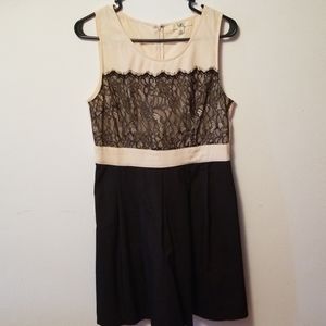 Cream Black Lace Cocktail Dress